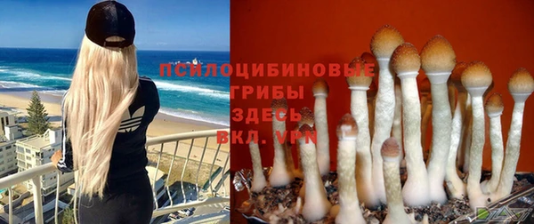 спайс Армянск