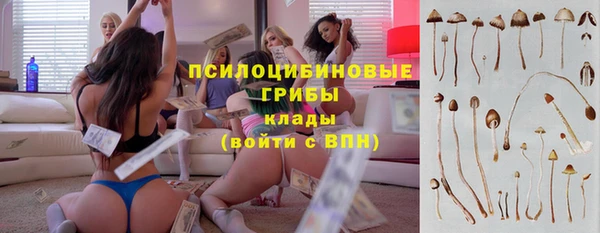 молекула духа Баксан