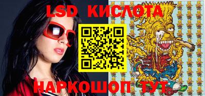 прущие грибы Чебоксары