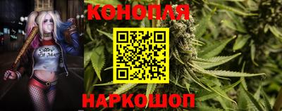 прущие грибы Чапаевск
