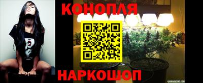 прущие грибы Чебоксары
