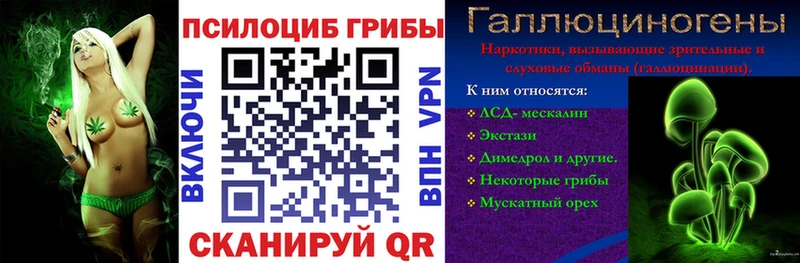 Псилоцибиновые грибы Magic Shrooms Пушкино